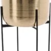 Merkloos Luxe Plantenpot/bloempot Goud Van 22 X 22 Cm Op Een Zwarte Metalen Standaard Met Een Hoogte Van 36 Cm 2 Merkloos Luxe Plantenpot/bloempot Goud Van 22 X 22 Cm Op Een Zwarte Metalen Standaard Met Een Hoogte Van 36 Cm -Gardena Verkoopwinkel 699x1200 4
