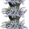 Elho Corsica Vertical Forest 24 - Bloempot Voor Balkonbuiten - Ø 26.7 X H 29.7 Cm - Zwart/Antraciet -Gardena Verkoopwinkel 765x1200 1