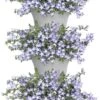 Elho Corsica Vertical Forest 24 - Bloempot Voor Balkonbuiten - Ø 26.7 X H 29.7 Cm - Wit/Wit -Gardena Verkoopwinkel 767x1200 1