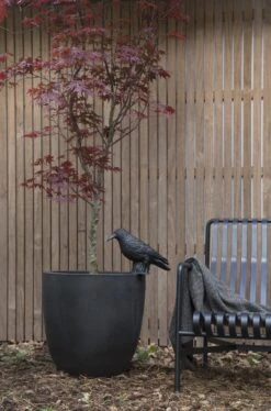 Capi Europe - Bloempot Bol Smooth NL - 54x52 - Zwart - Voor Binnen En Buiten - KBL935 -Gardena Verkoopwinkel 793x1200