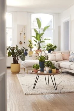 Elho Vibes Fold Rond Wielen 35 - Bloempot Voor Binnen - Ø 34.9 X H 32.4 Cm - Delicaat Roze -Gardena Verkoopwinkel 800x1200 103