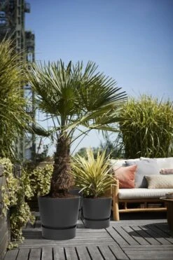 Elho Greenville Rond 40 - Grote Bloempot Voor Buiten - Gemaakt Van Gereycled Plastic - Ø 39.0 X H 36.8 Cm - Living Black -Gardena Verkoopwinkel 800x1200 109