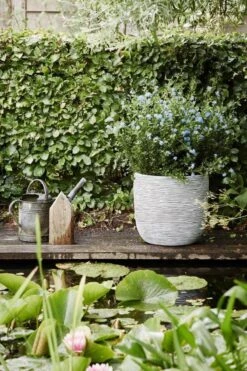 Capi Europe - Bloempot Bol Rib NL - 35x34 - Ivoor - Voor Binnen En Buiten - KOFI932 -Gardena Verkoopwinkel 800x1200 129