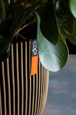 Capi Europe - Bloempot Bol Groove NL - 35x34 - Goud - Voor Binnen En Buiten - KGVGB932 -Gardena Verkoopwinkel 800x1200 148