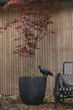 Capi Europe - Bloempot Bol Smooth NL - 43x41 - Zwart - Voor Binnen En Buiten - KBL933 -Gardena Verkoopwinkel 800x1200 154