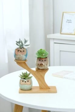 Luxe Bamboe Houten Boom Met 3 Keramiek Uil Bloempotten/Plantenpotten Op Standaard/Voet Voor Binnen En Buiten - Modern Design Bloempot/Plantenpot Op Poten/Pootjes-Plantenbak Mini Cactus Nep Plant Pot Houder - Kleine Bloembakken Plantenrek/Plantenkurk -Gardena Verkoopwinkel 800x1200 160