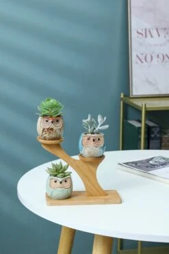Luxe Bamboe Houten Boom Met 3 Keramiek Uil Bloempotten/Plantenpotten Op Standaard/Voet Voor Binnen En Buiten - Modern Design Bloempot/Plantenpot Op Poten/Pootjes-Plantenbak Mini Cactus Nep Plant Pot Houder - Kleine Bloembakken Plantenrek/Plantenkurk -Gardena Verkoopwinkel 800x1200 161