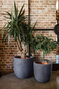 Capi Europe - Bloempot Bol Rib NL - 43x41 - Antraciet - Voor Binnen En Buiten - KOFZ933 19 Capi Europe - Bloempot Bol Rib NL - 43x41 - Antraciet - Voor Binnen En Buiten - KOFZ933 -Gardena Verkoopwinkel 800x1200 164