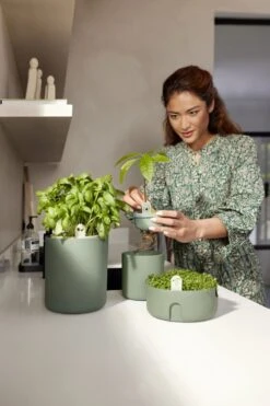 Elho Amazing Avocado Pot 12 - Kweekpot Voor Binnen - Moestuinbak Van 100% Gerecycled Plastic - Ø 12.0 X H 12.1 Cm - Groen/Blad Groen -Gardena Verkoopwinkel 800x1200 19