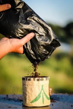 Biologische Kweekset Theekruiden Munt -Gardena Verkoopwinkel 800x1200 22