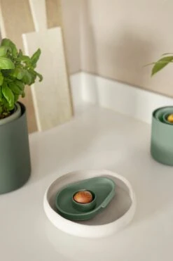 Elho Amazing Avocado Floater 15 - Accessoires Voor Kweken En Oogsten - Ø 14.8 X H 2.7 Cm - Groen/Blad Groen -Gardena Verkoopwinkel 800x1200 5