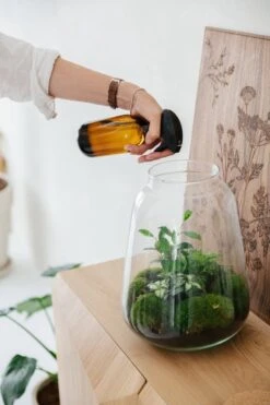 24DOTS Living Plantenspuit | 500 Ml Bruin Amber Glas | Plantensproeier | Plantenspuit Binnen | Waterverstuiver | Vernevelaar -Gardena Verkoopwinkel 800x1200 58