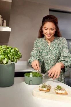 Elho Magic Microgreens 17 - Bloempot Voor Kiemgroenten - Ø 16.8 X H 7.1 Cm - Groen/Blad Groen -Gardena Verkoopwinkel 800x1200 6