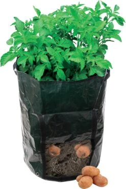 Silverline Aardappelplantzak - 36 X 51 Cm -Gardena Verkoopwinkel 800x1200 7