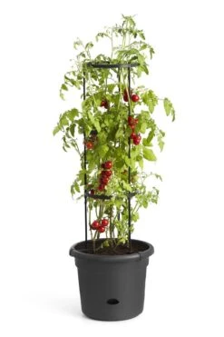 Elho Green Basics Tomaten Pot 33 - Bloempot Voor Buitenkweken En Oogsten - Ø 33.5 X H 26.0 Cm - Zwart/Living Black 20 Elho Green Basics Tomaten Pot 33 - Bloempot Voor Buitenkweken En Oogsten - Ø 33.5 X H 26.0 Cm - Zwart/Living Black -Gardena Verkoopwinkel 800x1200 8
