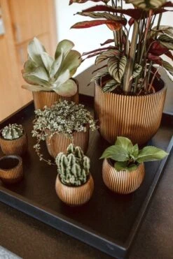 Capi Europe - Bloempot Bol Groove - 23x21 - Goud - Bloempot Voor Binnen - BGVGB134 -Gardena Verkoopwinkel 800x1200 99