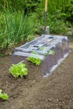 Nature Modulaire Kweektunnel Van PVC Met 6 Grondpennen H22x86x40cm