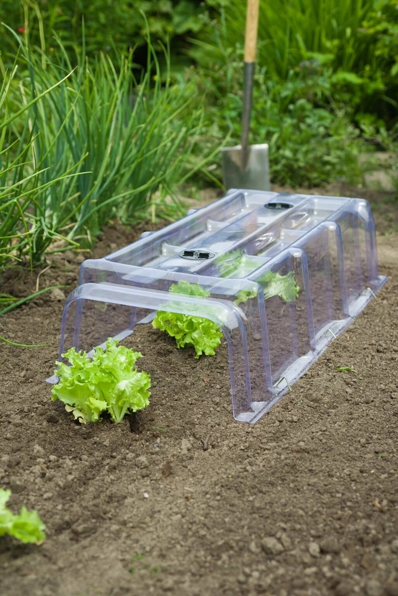 Nature Modulaire Kweektunnel Van PVC Met 6 Grondpennen H22x86x40cm