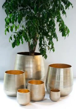 Merkloos Karakter Pot Alu Neo Gold ø40x40cm 8 Merkloos Karakter Pot Alu Neo Gold ø40x40cm -Gardena Verkoopwinkel 844x1200 1
