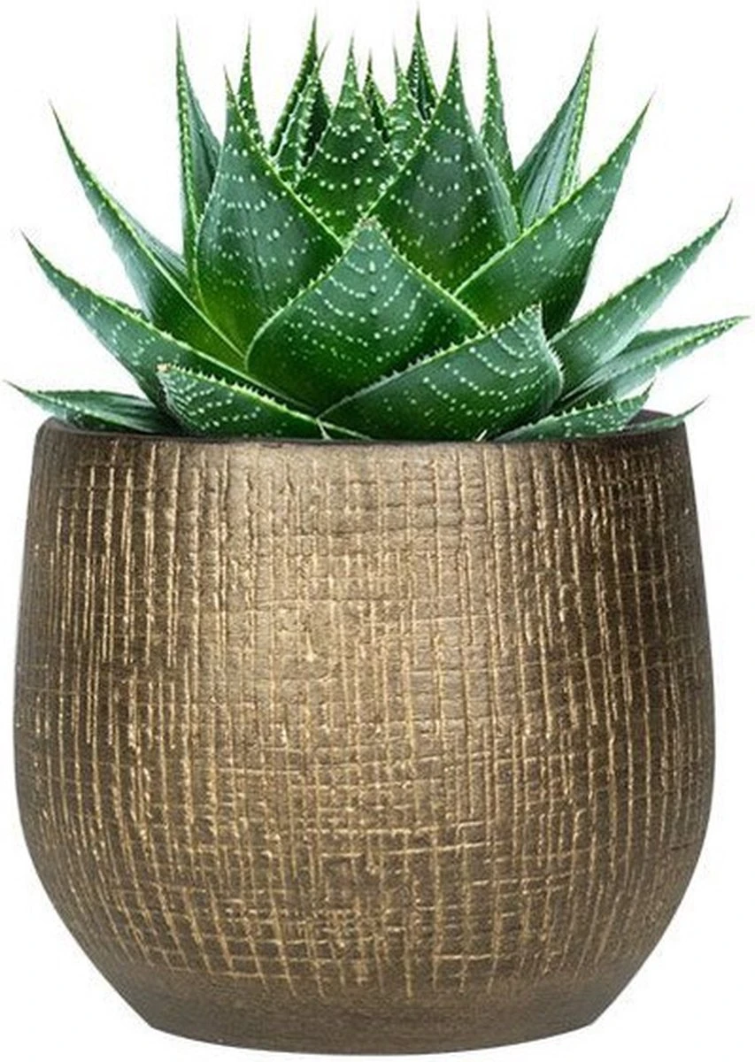 Plantenpot/bloempot In Een Strakke Modern Design Look Metal Goud Dia 22 Cm En Hoogte 20 Cm 4 Plantenpot/bloempot In Een Strakke Modern Design Look Metal Goud Dia 22 Cm En Hoogte 20 Cm - Afbeelding 2