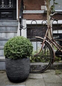 Capi Europe - Bloempot Bol Rib NL - 35x34 - Zwart - Voor Binnen En Buiten - KBLR932 -Gardena Verkoopwinkel 864x1200 1