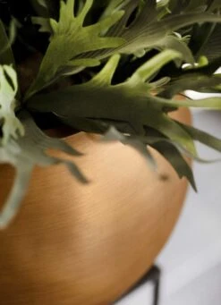 Capi Europe - Vaas Bol Retro - 30x25 - Goud - Bloempot Voor Binnen - BRTG104 19 Capi Europe - Vaas Bol Retro - 30x25 - Goud - Bloempot Voor Binnen - BRTG104 -Gardena Verkoopwinkel 869x1200 1