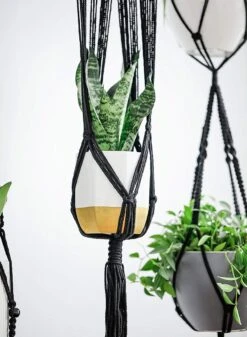 4 Stuks Luxe Macrame Plantenhangers - Boho Handgeweven Katoen Hangpot Voor Binnen/Buiten - Hangende Bloempot Met Kralen - Macramé Touw/Koord Hangplant Houder - Bohemian Wandhanger Decoratie - Plant Hanger - Verticale Tuin Bloempothouder Planthanger -Gardena Verkoopwinkel 880x1200 4