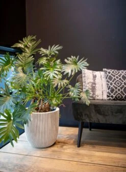 Capi Europe - Bloempot Bol Groove NL - 35x34 - Goud - Voor Binnen En Buiten - KGVGB932 -Gardena Verkoopwinkel 883x1200 4