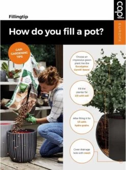 Capi Europe - Bloempot Vierkant Smooth NL - 30x30x30 - Zwart - Voor Binnen En Buiten - KBL902 -Gardena Verkoopwinkel 892x1200 4