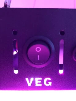 A Sunny Day 1000 Watt LED Groeilamp - Kweeklamp - Groei En Bloei - Grow Light - Full Spectrum - 1000 Watt - 100 Dual Chip LEDs -Gardena Verkoopwinkel 898x1200 1