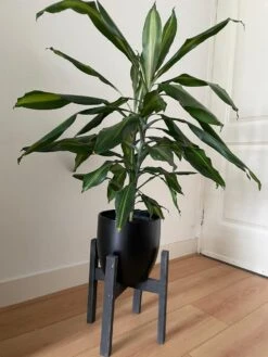 Plantenstandaard Binnen - Diameter Tot 24 Cm - Plantenkruk - Bloempotten Voor Binnen - Plantentafeltje Voor Binnen - Bloempot Standaard | Plantenstandaard - Hout - Mat Zwart -Gardena Verkoopwinkel 900x1200 23