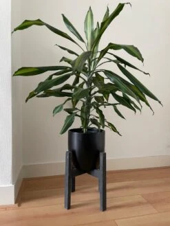 Plantenstandaard Binnen - Diameter Tot 24 Cm - Plantenkruk - Bloempotten Voor Binnen - Plantentafeltje Voor Binnen - Bloempot Standaard | Plantenstandaard - Hout - Mat Zwart -Gardena Verkoopwinkel 900x1200 24