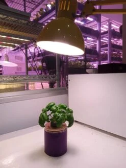 HortiPower Bloomer 2 Kweeklampen - 2 Stuks - 400-780nm - 9W - E27 - LED - Kweeklamp Led Full Spectrum - Groeilamp Voor Planten -Gardena Verkoopwinkel 900x1200