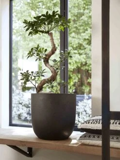 Capi Europe - Bloempot Bol Smooth NL - 54x52 - Zwart - Voor Binnen En Buiten - KBL935 -Gardena Verkoopwinkel 900x1200 28