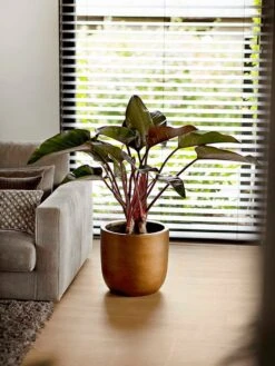 Capi Europe - Bloempot Bol Retro XL - 42x41 - Goud - Bloempot Voor Binnen - Opening ⌀36 - RTG933 -Gardena Verkoopwinkel 900x1200 31