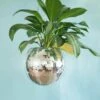 Discobal Hangplant - Bloempot - Hangplant - Disco - Discobal - Spiegel - Zilver - Hangpot - Glitter - Planten In Bak - Hangend - Staand 2 Discobal Hangplant - Bloempot - Hangplant - Disco - Discobal - Spiegel - Zilver - Hangpot - Glitter - Planten In Bak - Hangend - Staand -Gardena Verkoopwinkel 901x1200 3