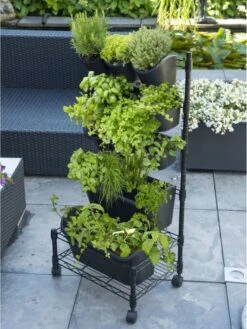 Nature - Mobiel Verticaal Tuinieren - H97 X 44 X 32,5cm - Complete Set -Gardena Verkoopwinkel 902x1200 7