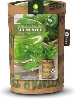 Biologische Kweekset Theekruiden Munt -Gardena Verkoopwinkel 912x1200