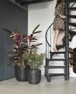 Capi Europe - Bloempot Bol Rib NL - 35x34 - Zwart - Voor Binnen En Buiten - KBLR932 -Gardena Verkoopwinkel 972x1200 1