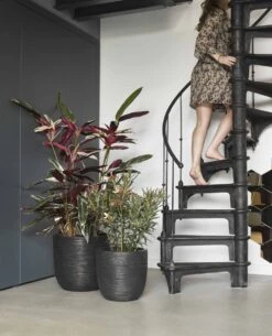 Capi Europe - Bloempot Bol Rib NL - 54x52 - Zwart - Voor Binnen En Buiten - KBLR935 -Gardena Verkoopwinkel 972x1200 2