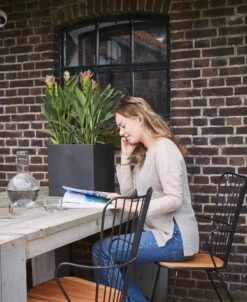 Capi Europe - Bloempot Vierkant Smooth NL - 50x50x50 - Zwart - Voor Binnen En Buiten - KBL904 26 Capi Europe - Bloempot Vierkant Smooth NL - 50x50x50 - Zwart - Voor Binnen En Buiten - KBL904 -Gardena Verkoopwinkel 983x1200 2