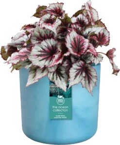 Elho The Ocean Collection Round 22cm - Bloempot Voor Binnen - 100% Gerecycled Materiaal - Gemaakt Met Zeeafval - Ø 22.3 X H 20.4 Cm - Atlantisch Blauw -Gardena Verkoopwinkel 994x1200 2